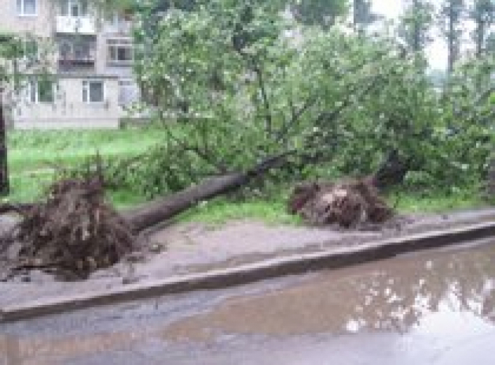 Ураган обесточил 104 населенных пункта Сумщины.