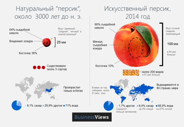 4 коротких факта о ГМО, которые вас удивят