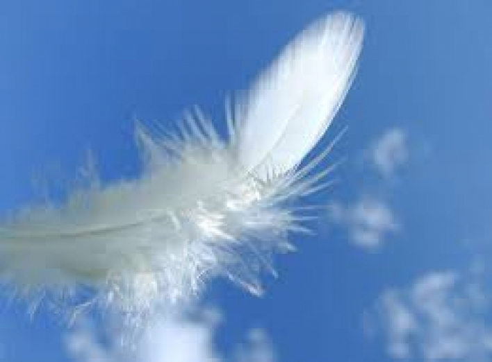 Только 5 дней с 8 по 12 марта в городе Сумы «Оренбургский пуховый платок»!!!