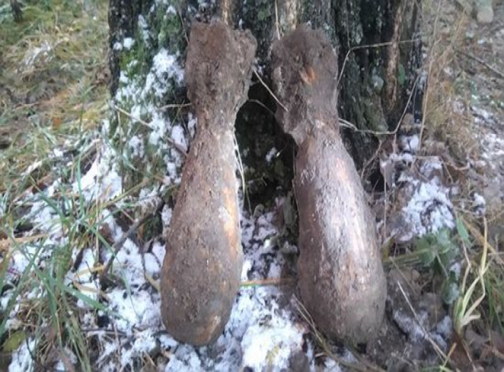 Дорожники на Сумщине обнаружили два боеприпаса