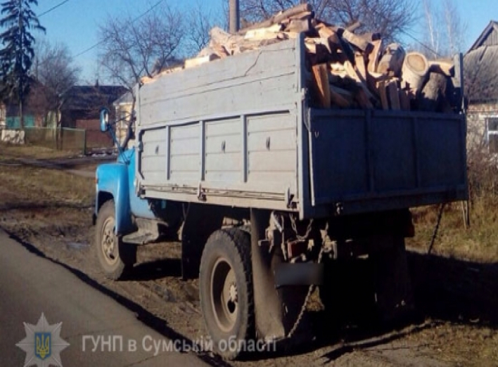Дорогами Сумщины пытались перевезти груз древесины и металлических изделий без соответствующих документов (+фото)