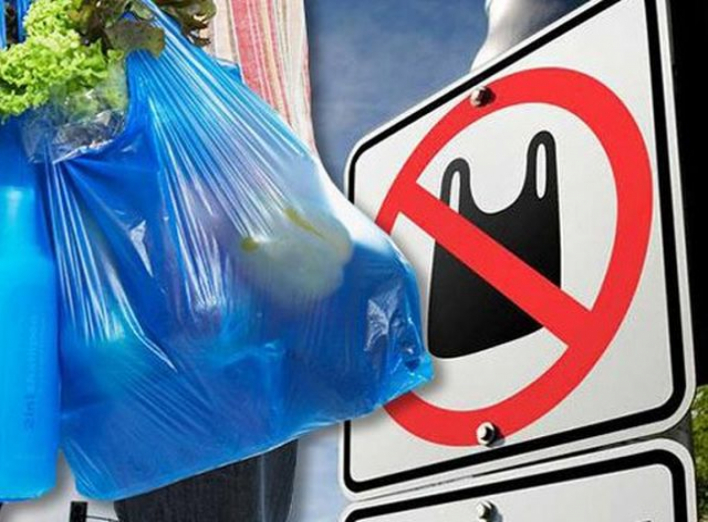 Президент підписав Закон про заборону використання пластикових пакетів в Україні фото