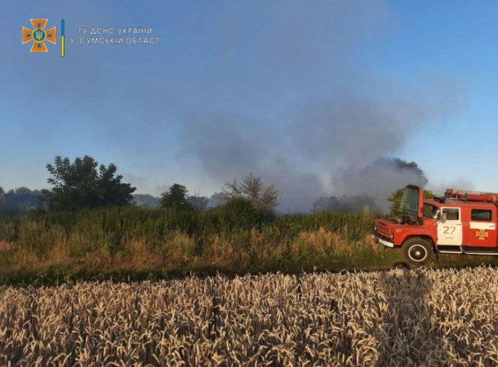 На Сумщині вогнеборці двічі ліквідовували загоряння сміття та сухої рослинності фото