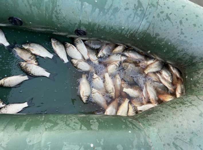 З початку липня Сумський рибоохоронний патруль задокументував 33 порушення  фото
