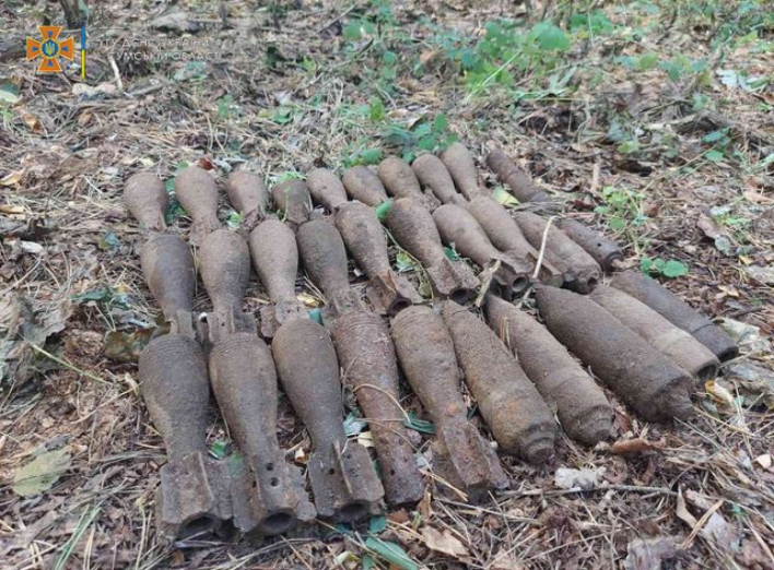 На Сумщині за минулий тиждень знешкоджено 180 застарілих боєприпасів фото