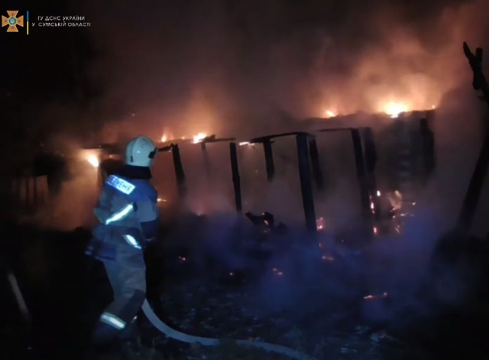 У Сумах вогнеборці ліквідували пожежу в дачному кооперативі  фото
