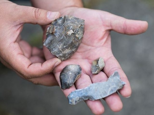 Під Києвом виявили стоянки давніх людей, яким понад 10 тисяч років