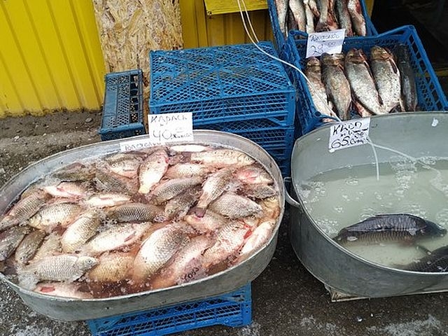 У жовтні рибоохороною на Сумщині викрито 53 порушення фото
