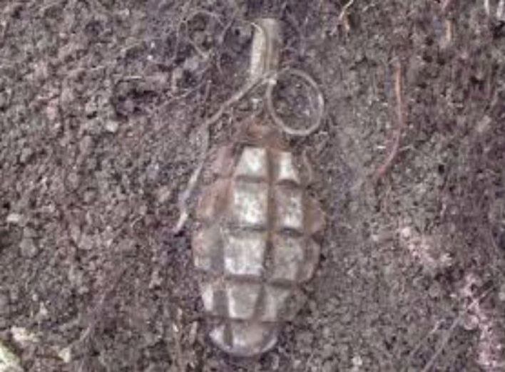 У Сумах поліцейські знешкодили гранату фото