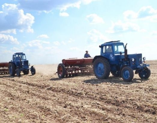 В Україні очікується врожай зернових на рівні 65% минулорічного фото