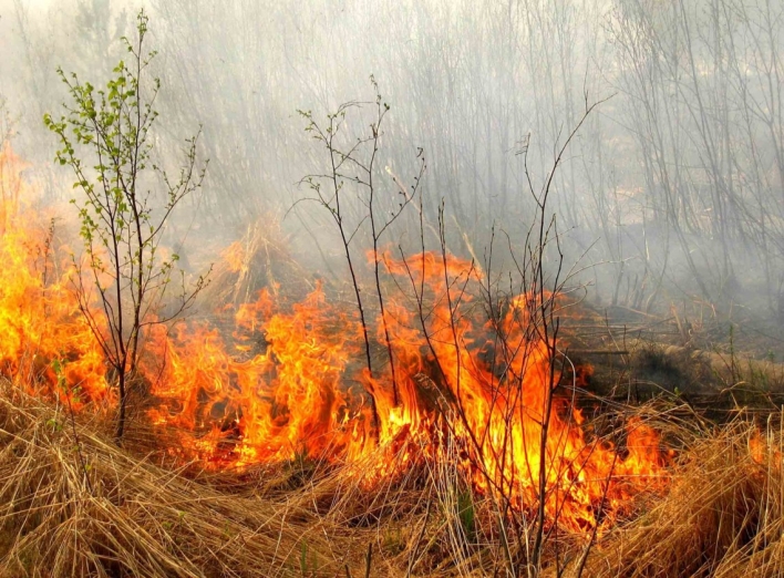  На Сумщині очікуються пожежі
