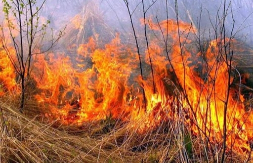СМР нагадує про відповідальність за спалювання трави  фото