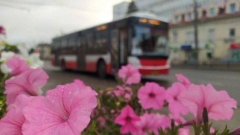 У Сумах відновлюють курсування автобуси великої місткості фото