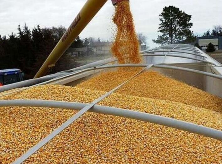 Путін висунув умову для розблокування експорту українського зерна