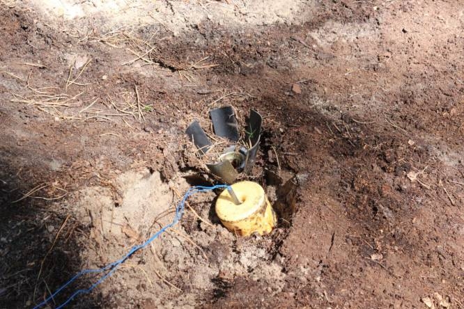 На Сумщині грибники знайшли заборонений боєприпас від “Урагану” фото