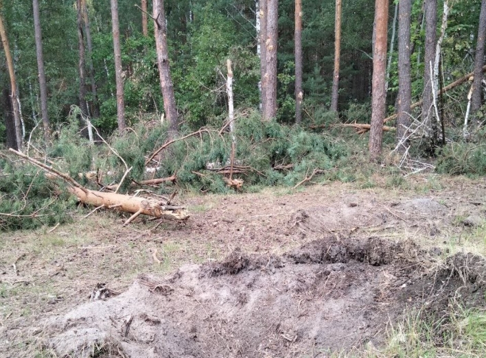 Національний природний парк на Сумщині зазнав мільйонних збитків від рук російських окупантів фото