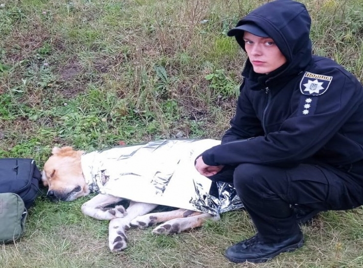 На Сумщині поліцейський врятував покинутого пса фото