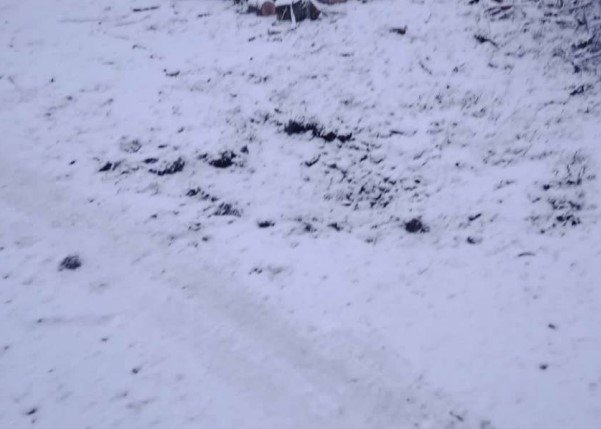 Рашисти обстріляли дві громади Сумщини 18 грудня фото