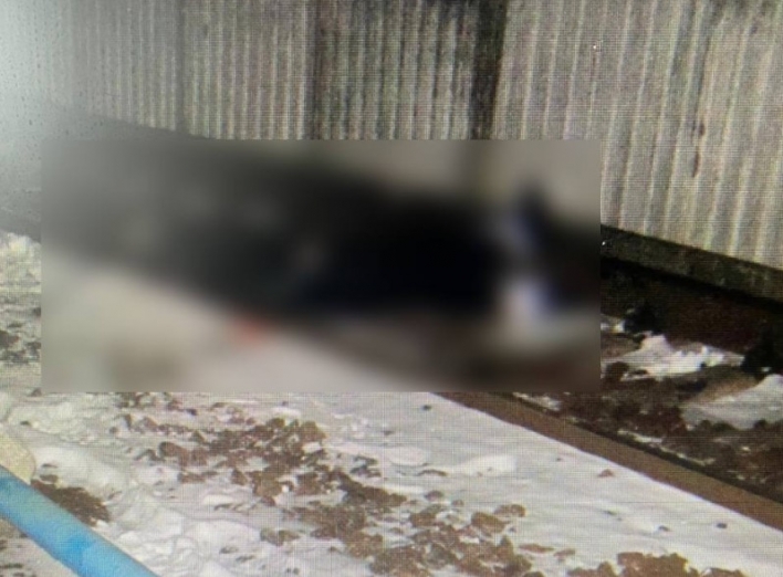 У Конотопі поїзд насмерть збив чоловіка фото