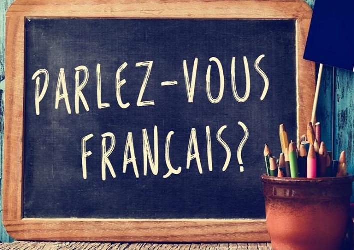 У Сумах благодійники проведуть курси французької мови для дітей фото