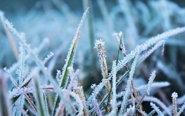 На Сумщині прогнозують заморозки фото