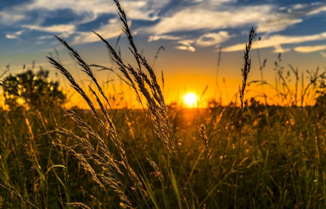 На Сумщині прогнозують поступове потепління фото