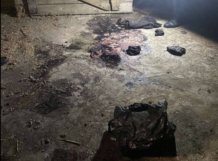 Під Сумами жінка народила двійню та кинула дітей помирати в сараї фото Під Сумами жінка народила двійню та кинула дітей помирати в сараї фото