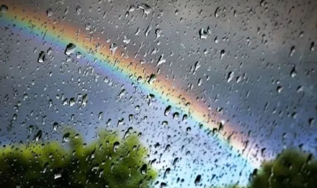 На Сумщині до кінця тижня прогнозують дощі фото