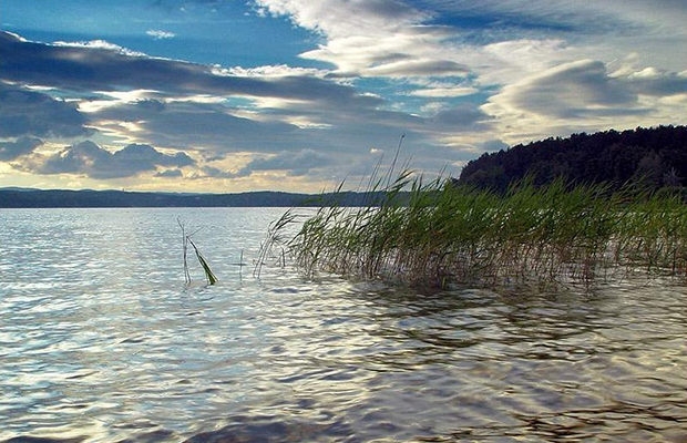 На Сумщині потонув чоловік фото На Сумщині потонув чоловік фото
