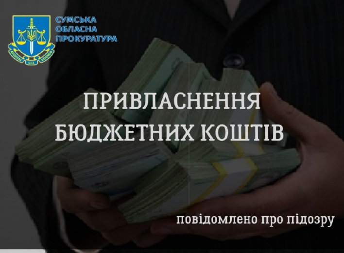 На Сумщині підприємець-постачальник паливної деревини вкрав 430 тис. грн бюджетних коштів фото