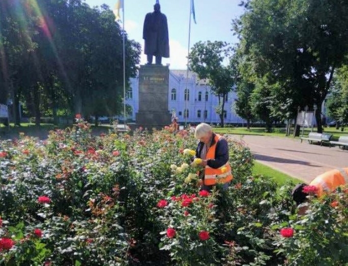 У центрі Сум зеленбудівці облаштовують нові квітники фото