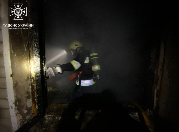 На Сумщині через блискавку загорівся будинок фото