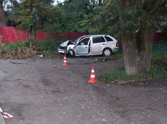 У Сумах автівка врізалася в дерево: водій загинув фото