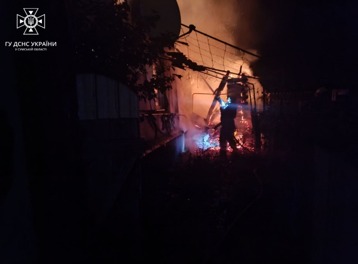 На Сумщині на пожежі загинула жінка фото