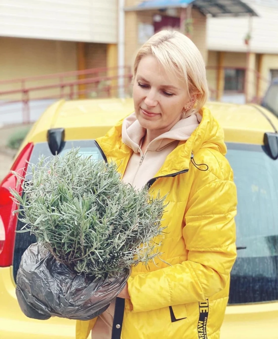 Лавандове поле з прикордоння  – як сум’янка евакуювала свою мрію фото №3