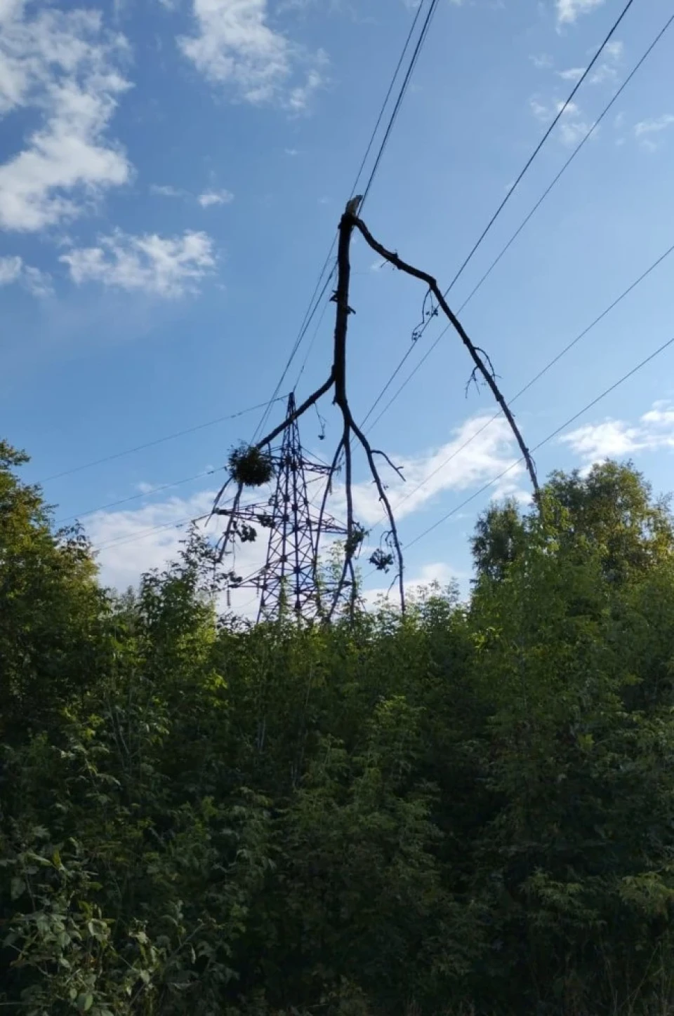 З’явилися фото з місця ракетного удару в Сумах фото №1