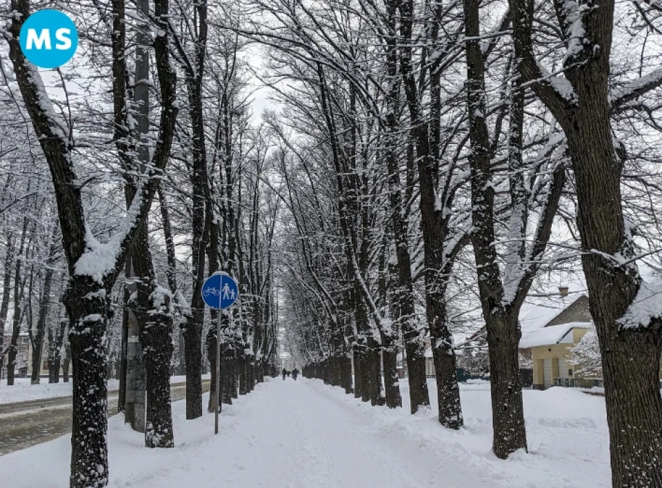 Сніжні Суми: фоторепортаж з вулиць міста фото №9