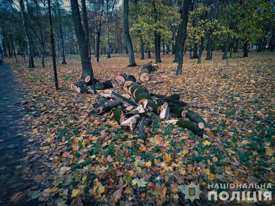 На Сумщині директора КП підозрюють у вирубці дерев у заповіднику на понад 1,5 млн грн фото №1