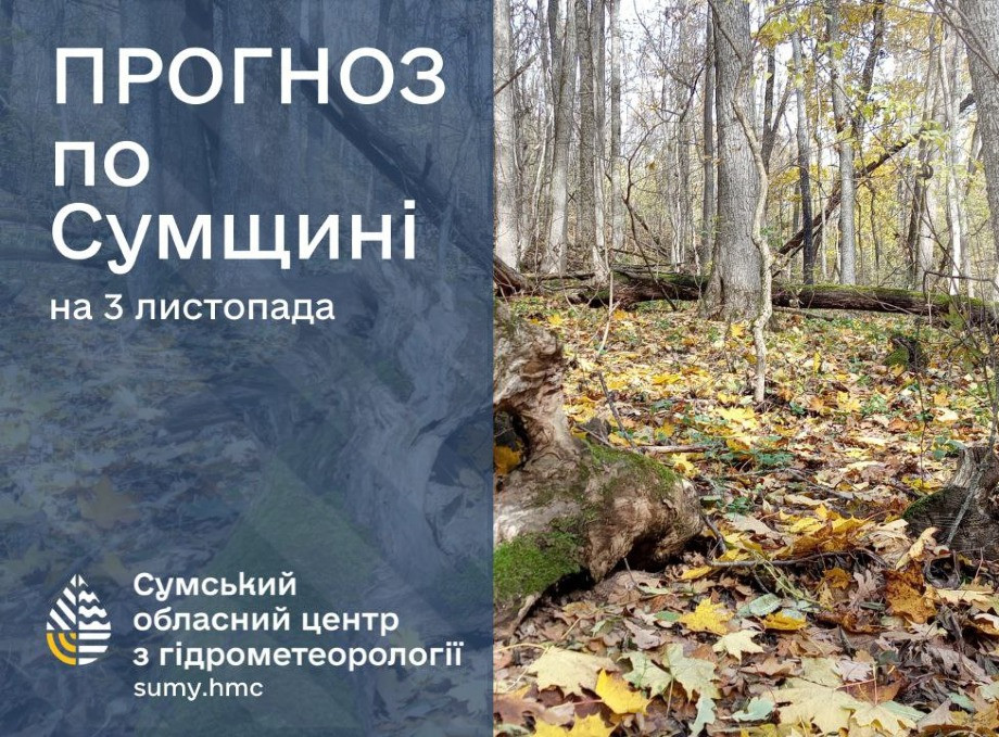 Прогноз погоди на Сумщині на початок тижня: очікуються невеликі дощі