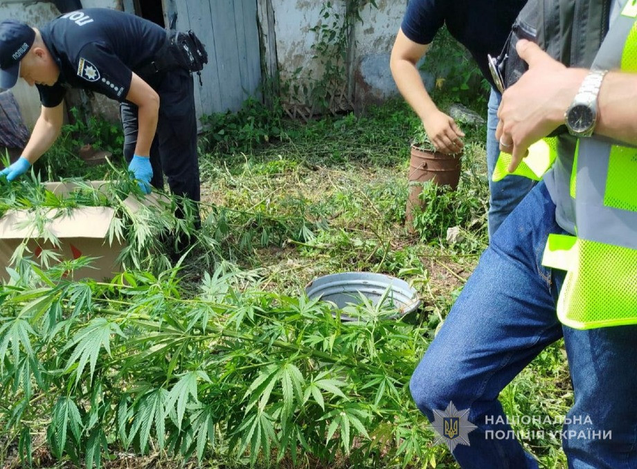 На Глухівщині поліція виявила незаконне вирощування та зберігання наркотиків