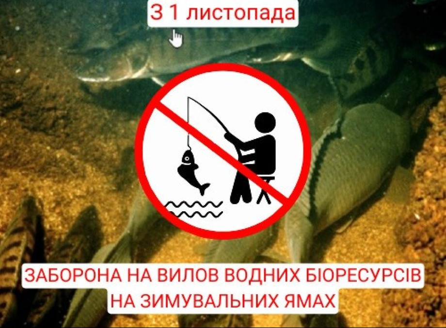 На Сумщині з 1 листопада вводять заборону на вилов риби на зимувальних ямах