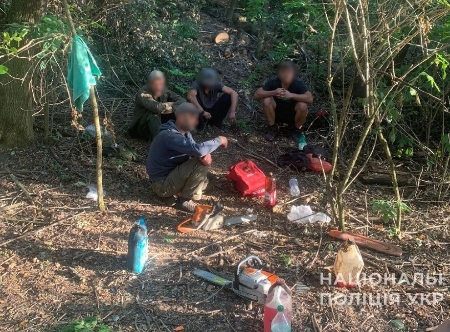 На Роменщині затримали п’ятьох «чорних лісорубів»
