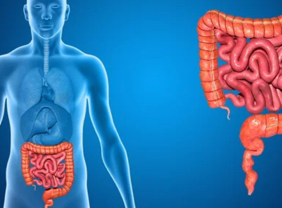 Как микрофлора кишечника влияет на общее здоровье
