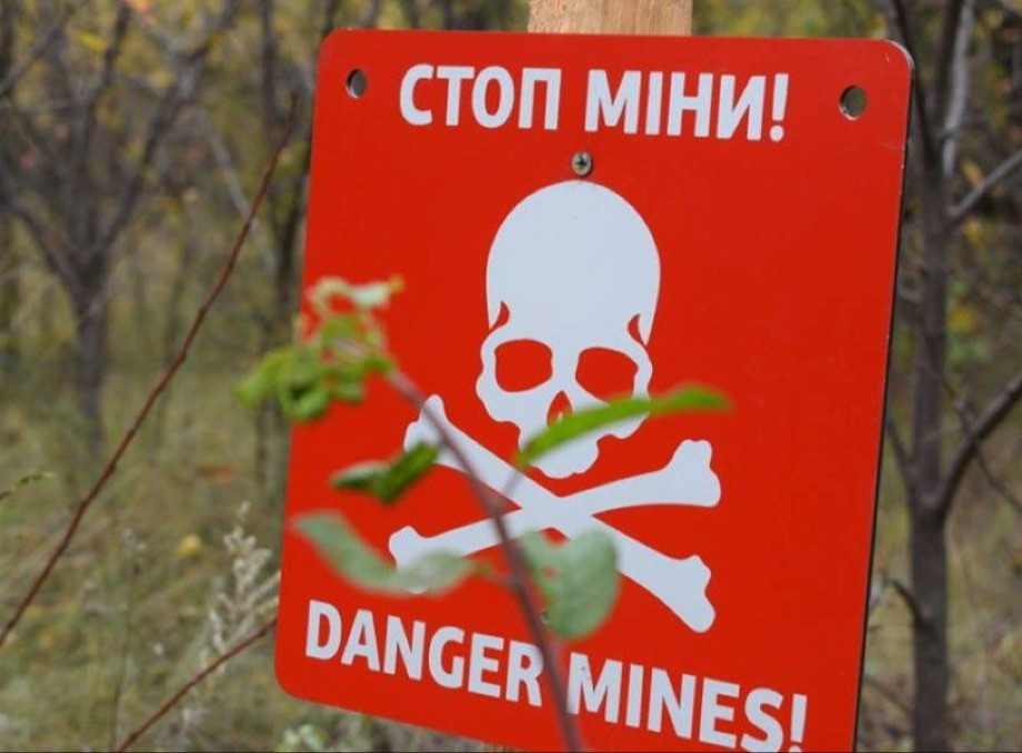 На Сумщині подружжя підірвалося на міні
