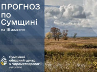 На вихідних на Сумщині очікується дощова та прохолодна погода