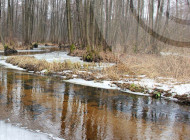 Циклон з півдня принесе опади та туман: якою буде погода в Сумах 14–16 лютого