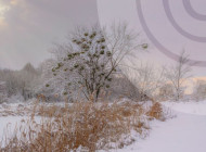 Ожеледиця, морози та мінлива хмарність: прогноз погоди на найближчі три дні для Сумщини