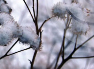 Ожеледиця та мінус 22: якою буде погода в Сумській області найближчими днями