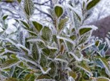 Погода на Сумщині 20-22 квітня: хмарно, без суттєвих опадів та нічні заморозки