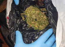 Боротьба з наркозлочинністю: на Сумщині правоохоронці вилучили великі партії марихуани